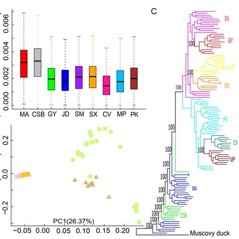 (PDF) Revisiting the evolutionary history of domestic .